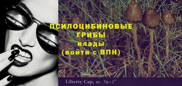 стаф Горнозаводск
